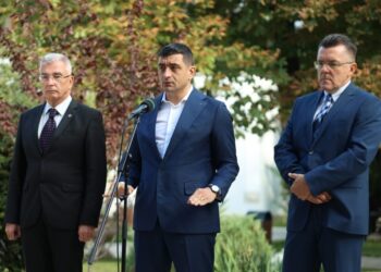 cu-ce-mandat-merge-aur-la-cotroceni-petrisor-peiu:-nu-votam-un-guvern-din-care-nu-facem-parte.-e-decis-deja