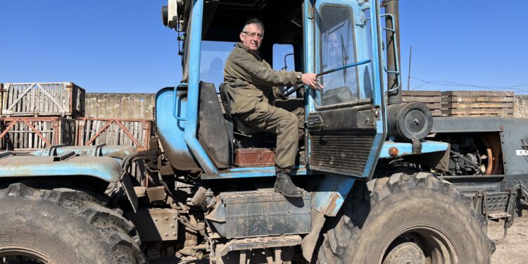urmatoarea-batalie-a-ucrainei-se-va-da-pentru-grau-daca-ar-adera-la-ue,-ucraina-ar-deveni-principalul-producator-de-cereale-si-plante-oleaginoase-din-uniune-–-hotnews.ro