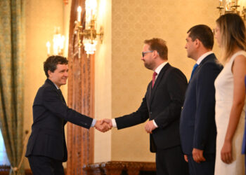 dominic-fritz,-pledoarie-pentru-alegeri-anticipate:-nu-putem-lua-decizia-in-functie-de-un-posibil-rezultat