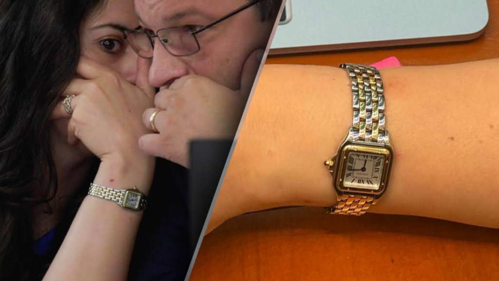 userista-diana-stoica-a-mintit-ca-si-a-trecut-ceasul-cartier-de-10000-de-euro-in-declaratia-de-avere.-in-documentul-publicat-pe-site-ul-camera-deputatilor,-nu-e-mentionata-nicio-bijuterie
