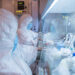 rusia-da-asigurari-ca-nu-exista-risc-de-epidemie-dupa-moartea-anagajtei-de-la-institutului-de-cercetare-a-ciumei-–-hotnews.ro