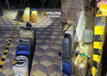 angajati-cfr-din-arges,-acuzati-ca-furau-motorina-si-incasau-bani-pentru-ore-fictive-in-weekend