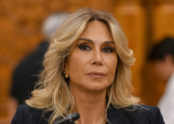 raluca-turcan,-despre-sorin-grindeanu:-o-lipsa-de-coerenta-mai-mare-rar-poti-sa-vezi-in-politica.-ce-spune-despre-luca-niculescu