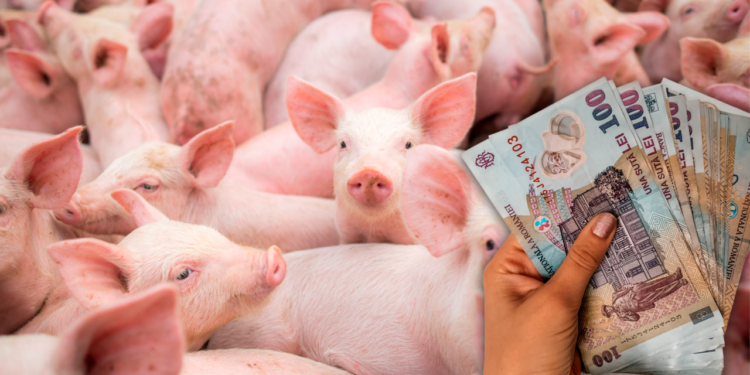 ue-schimba-regulile-pentru-fermele-de-porci-si-pasari-din-romania