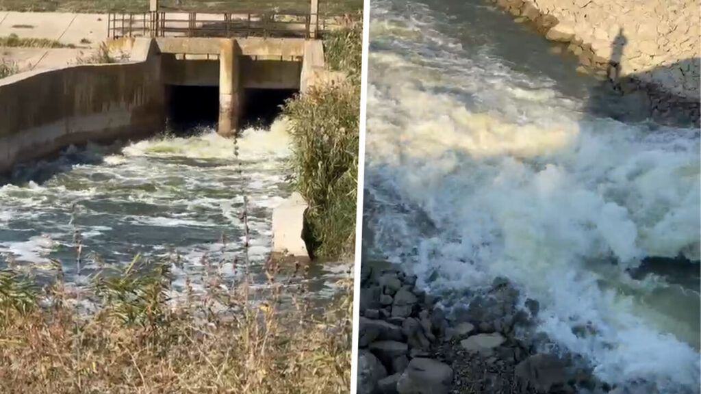 panica-printre-agricultorii-si-piscicultorii-din-calarasi.-se-tem-ca-vor-ramane-fara-apa,-dupa-ce-autoritatile-ar-fi-decis-sa-dea-drumul-la-apa-din-lacurile-mostistea-si-valea-argovei,-pentru-a-creste-debitul-dunarii
