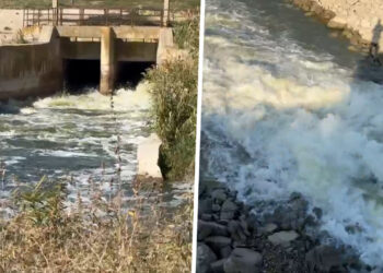 panica-printre-agricultorii-si-piscicultorii-din-calarasi.-se-tem-ca-vor-ramane-fara-apa,-dupa-ce-autoritatile-ar-fi-decis-sa-dea-drumul-la-apa-din-lacurile-mostistea-si-valea-argovei,-pentru-a-creste-debitul-dunarii