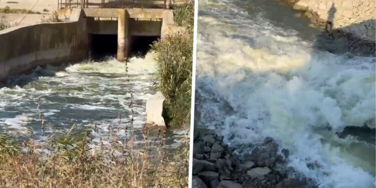 panica-printre-agricultorii-si-piscicultorii-din-calarasi.-se-tem-ca-vor-ramane-fara-apa,-dupa-ce-autoritatile-ar-fi-decis-sa-dea-drumul-la-apa-din-lacurile-mostistea-si-valea-argovei,-pentru-a-creste-debitul-dunarii