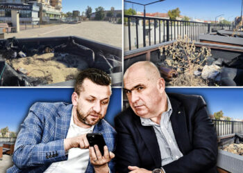 copacii-in-ghiveci-de-2.600-de-euro-bucata-din-oradea-s-au-uscat-la-nici-6-luni-de-la-plasarea-lor-prin-oras
