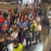 haos-dupa-fcsb-–-otelul-nu-va-mai-inghesuiti,-nu-e-mare-vedeta!