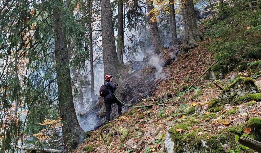 pompierii-incearca-de-doua-saptamani-sa-stinga-un-incendiu-in-parcul-retezat-–-hotnews.ro