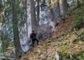 pompierii-incearca-de-doua-saptamani-sa-stinga-un-incendiu-in-parcul-retezat-–-hotnews.ro