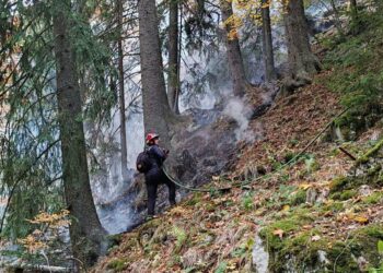 pompierii-incearca-de-doua-saptamani-sa-stinga-un-incendiu-in-parcul-retezat-–-hotnews.ro