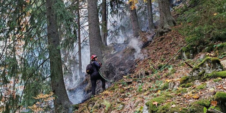 pompierii-incearca-de-doua-saptamani-sa-stinga-un-incendiu-in-parcul-retezat-–-hotnews.ro
