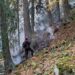 pompierii-incearca-de-doua-saptamani-sa-stinga-un-incendiu-in-parcul-retezat-–-hotnews.ro
