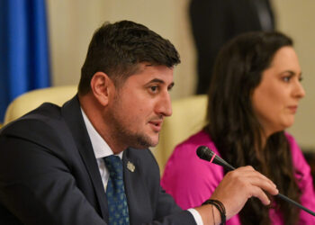 un-senator-pnl-propune-elaborarea-unei-harti-a-gazelor-pentru-potentialul-industrial