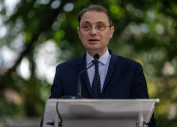 niculescu-vorbeste-despre-rolul-strategic-al-frantei-in-romania:-este-foarte-implicata.-miza-pentru-securitatea-nato-la-marea-neagra