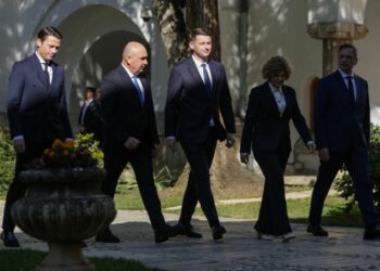 zi-decisiva-in-pnl:-liberalii-hotarasc-daca-voteaza-guvernul-luca-niculescu