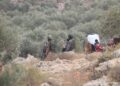 decizie-rara-a-israelului-dupa-atacurile-asupra-unei-fotojurnaliste-washington-post-si-asupra-unor-diplomati-europeni-in-cisiordania-–-hotnews.ro