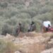 decizie-rara-a-israelului-dupa-atacurile-asupra-unei-fotojurnaliste-washington-post-si-asupra-unor-diplomati-europeni-in-cisiordania-–-hotnews.ro