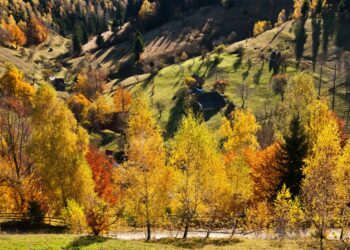 prognoza-meteo-pana-la-finalul-lunii-cum-va-fi-vremea-in-fiecare-regiune-a-tarii-–-hotnews.ro