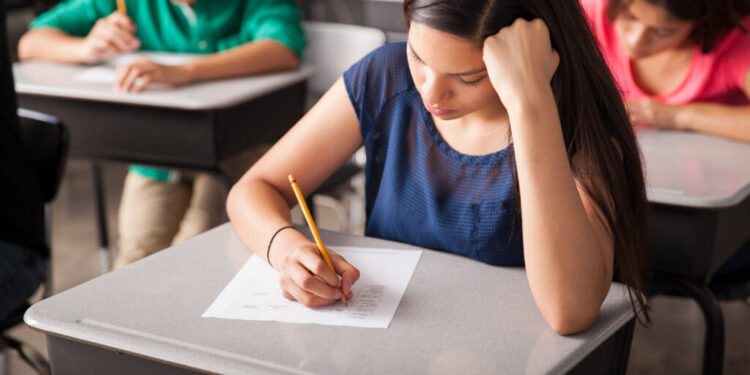 ministrul-educatiei,-de-parere-ca-meditatiile-trebuie-fiscalizate:-faptul-ca-se-fac-masiv-meditatii-arata-ca-scoala-romaneasca-are-o-mare-problema