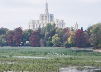 s-a-format-o-adevarata-delta-pe-cuva-lacului-herastrau,-cu-starci-si-rate-mandarin